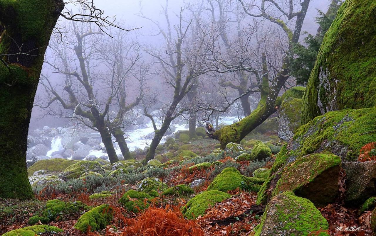 Tinao De Gredos Villa Barajas de Gredos ภายนอก รูปภาพ